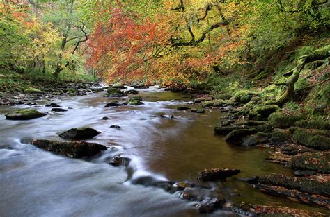 River Barle In Somerset Photograph By Pete Hemington Pixels