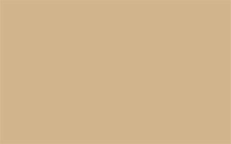 2560x1600 Tan Solid Color Background
