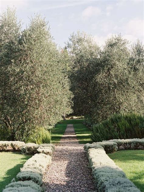 La Dolce Vita 10 Garden Ideas To Steal From Italy Gardenista