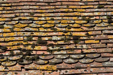 Old Roof Tiles Stock Photo Dissolve