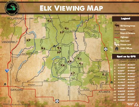 A Guide To Elk Viewing In Michigan Michigan