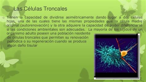 Celulas Troncales