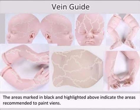 Image Result For Reborn Vein Chart Ürünler Bebek