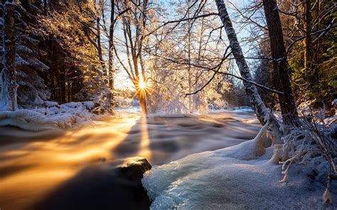 Winter Trees River Ice Snow Sunset Wallpaper Nature