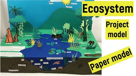 Ecosystem Diagram For Kids