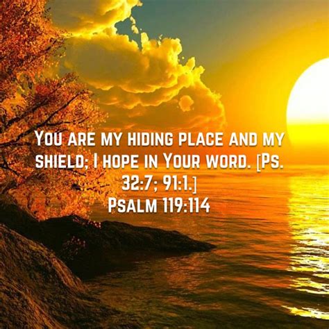 Psalm 119114 Amplified Bible Amp Bible Study Scripture Amplified
