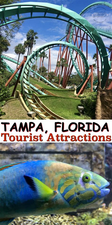 Tourist Attractions World Florida Tourist Attractions Tourist