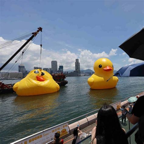 All Puffed Up Deflated Rubber Duck Returns To Hong Kongs Victoria