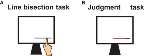 Bisection of angles and lines. Tasks and procedure. (A) Participants first performed a ...