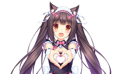 907253 Anime Girls Waitress Maid Outfit Cat Girl Animal Ears