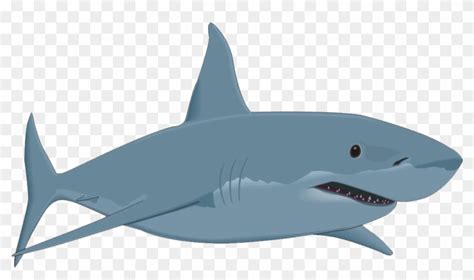 Confessions Of A Great White Shark Cartoon Great White Shark Clipart