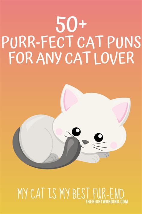 Hiss Terically Purr Fect Cat Puns For Any Cat Lover Cat Puns