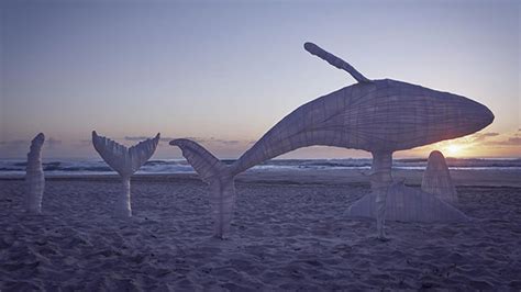 Swell Sculpture Festival Celebrates 19 Years On The Gold Coast