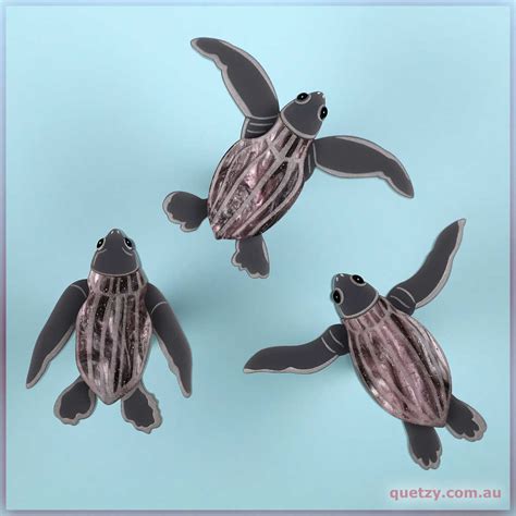 Tiny Turtle Trio Acrylic Brooch Set Quetzy