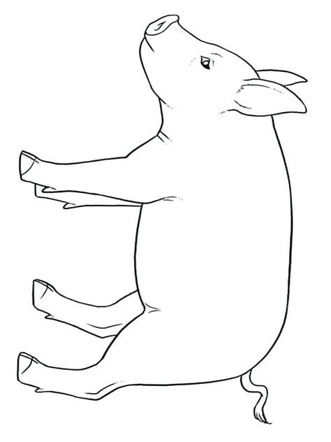 Cute Baby Pig Coloring Pages At Free Printable