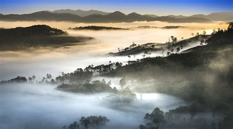 Vietnam Landscape Forest Dense Fog