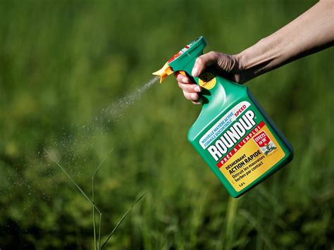 Roundup Weedkiller Could Be Pulled From British Shelves After 289m Us Lawsuit Finds Link To