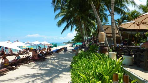Thai House Beach Resort Lamai Beach Holidaycheck Koh Samui Thailand