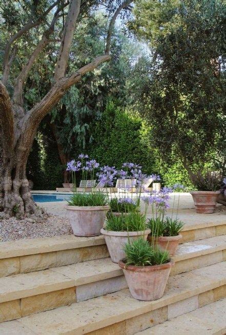 Awesome Mediterranean Garden Design Ideas For Your Backyard