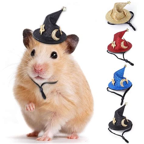 Best Costumes For Hamsters Cute Hamster Costumes Hats Clothes