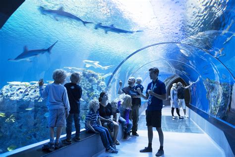 Copenhagen Sights Highlights And National Aquarium Nordic Experience