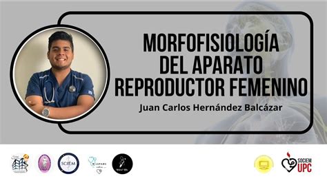 Morfofisiología Del Aparato Reproductor Femenino Semana De