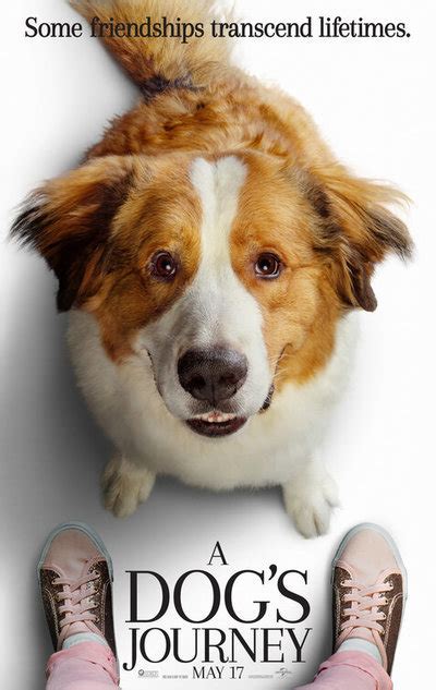 Películas vistas en 2019 (608 movies items). A Dog's Journey movie review & film summary (2019) | Roger ...