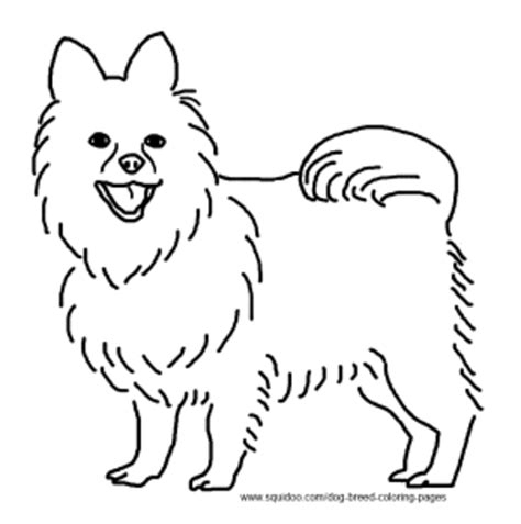 Pomeranian Coloring Book Coloring Pages