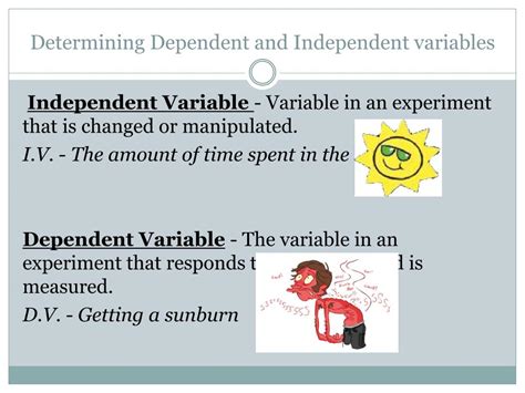PPT - Independent and Dependent Variables PowerPoint Presentation, free ...