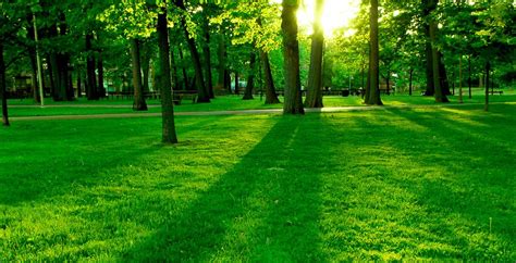 17 Hd Green Nature Wallpapers For Laptop Basty Wallpaper