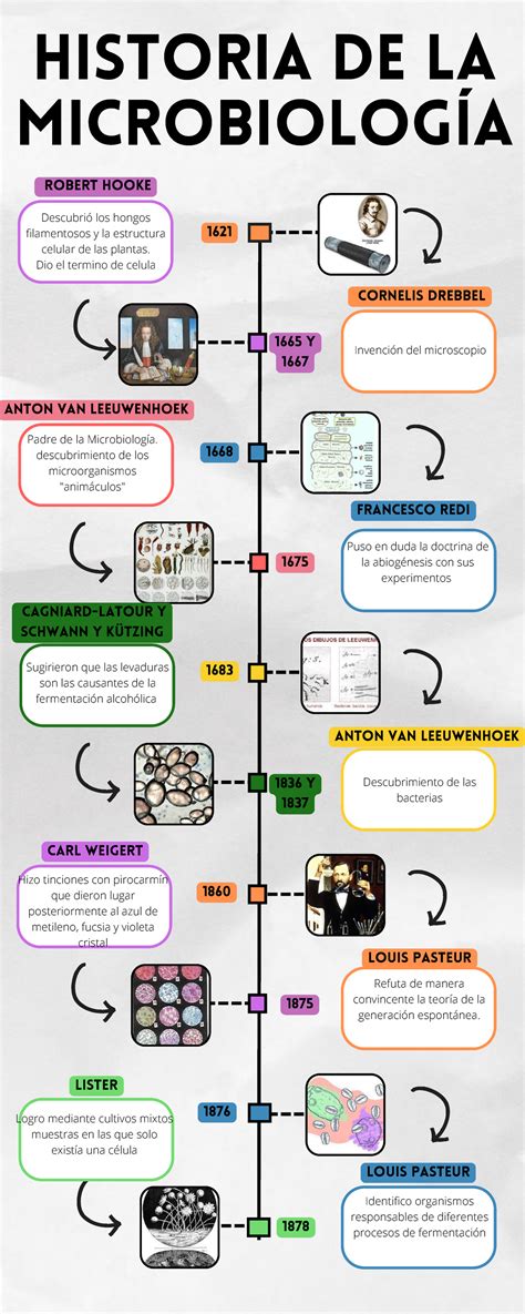 linea de tiempo sobre la historia de la microbiologia y evolucion a images my xxx hot girl