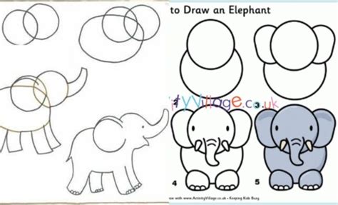 10 Cara Menggambar Gajah Ada Posisi Duduk Hingga Berdiri Dailysia