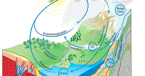 Le Cycle De L Eau Lumni Enseignement