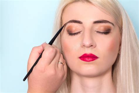 Makeup Artist Paints Woman Blush Cheekbones Makeup Stock Photos Free