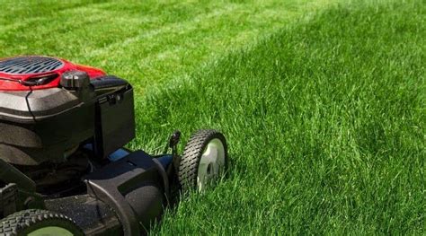 How To Mow Your Lawn 5 Different Patterns Simplify Gardening