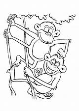 Monkey Coloring Monkeys Printable Funny Worksheets Playing Parentune Branch sketch template