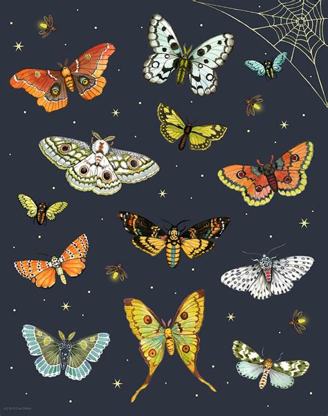 Moth Print Moth Art Moth Poster Insect Art Lepidopterist Etsy