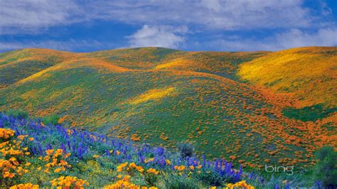 Nature Landscape Sky Clouds Mountain Summer Scenery Tree