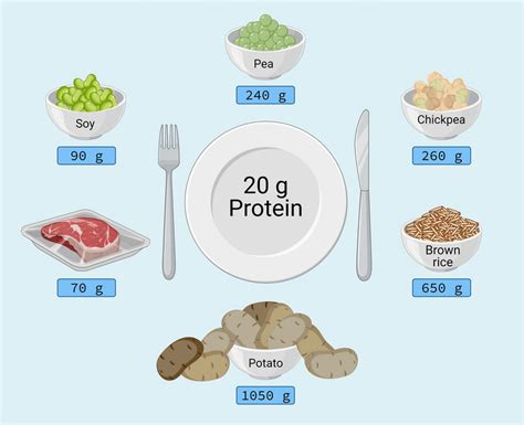 Amount Of The Selected Whole Food Protein Sources To Be Consumed To
