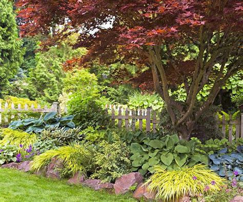 10 Easy Ideas To Transform Your Yard And Garden Maple Tree Landscape