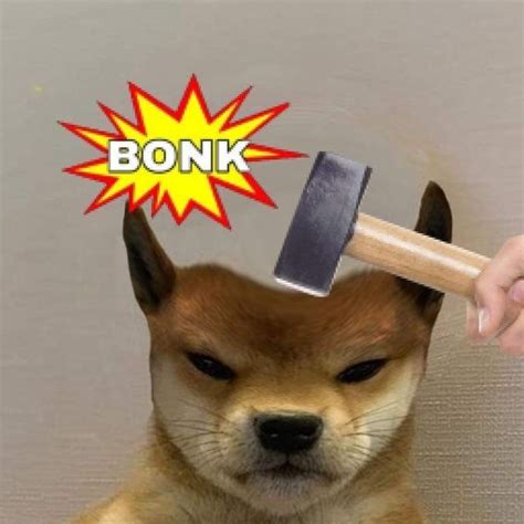 Pin De Ivan David En Dog Xhido Mascotas Memes Memes De