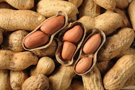 Learn more about shell on our global website. What's Up with Peanut Skins? | Serious Eats