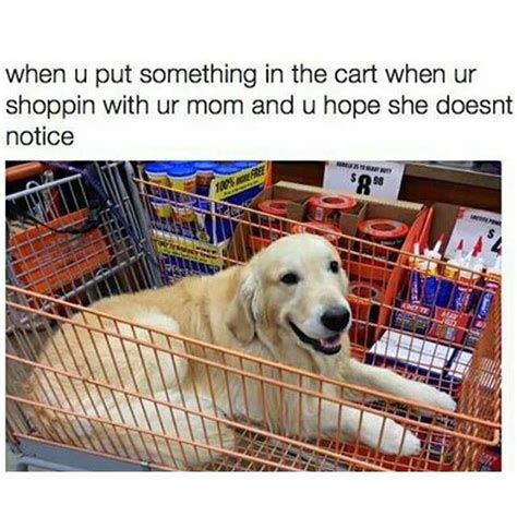 Shopping Trolley Cute Animal Memes Funny Pictures Dog