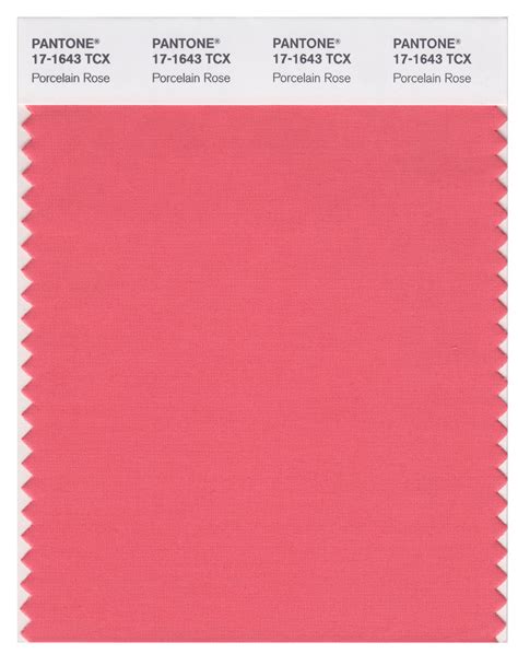 Pantone Smart 17 1643 Tcx Color Swatch Card Porcelain Rose Single