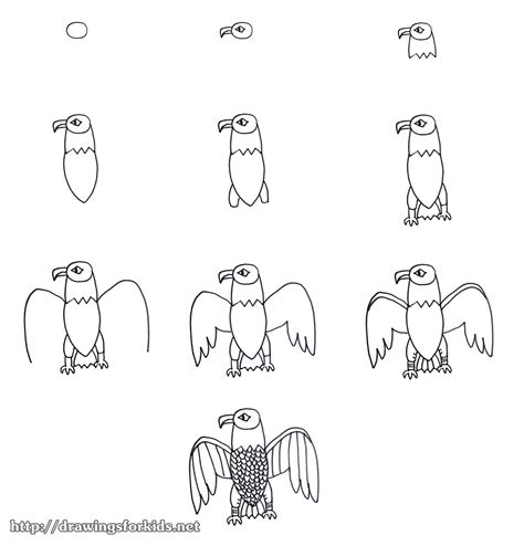 How To Draw A Eagle For Kids