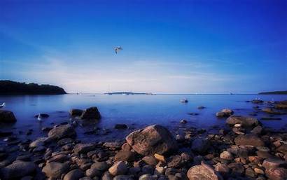 Biru Samudra Keren Taman Paling Seagulls Rocks