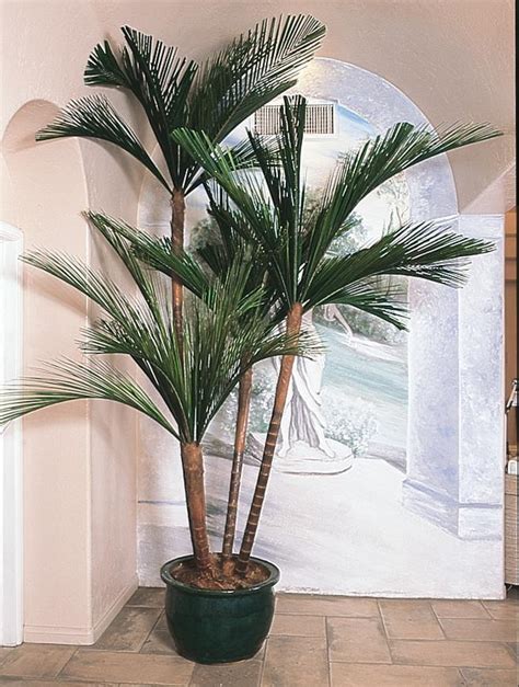 See more ideas about palm tree decorations, palm, palm trees. Artificial and Replica Plants
