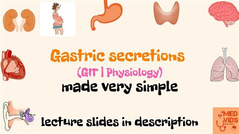 Secretions Of Stomach Physiology Functions Of Stomach Med Vids