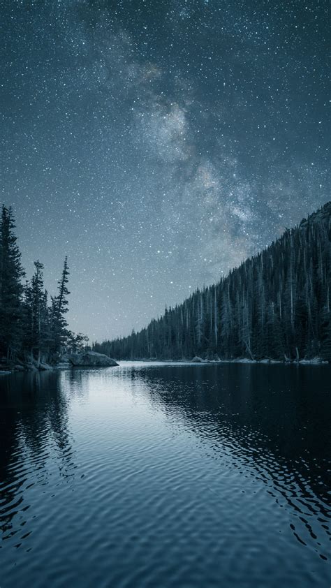 1440x2560 Night Out Lake Forest Nature Wallpaper Dark Iphone