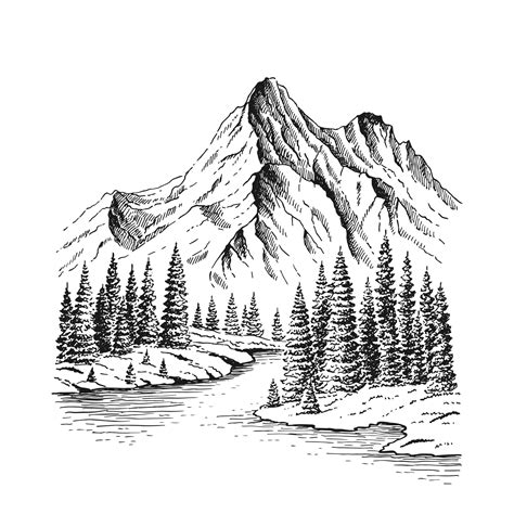 Hand Drawn Vector Nature Illustration With Mountains And Forest Using